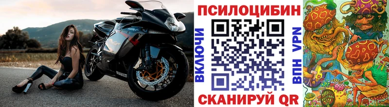 гидра ONION  где продают наркотики  Белая Холуница  Галлюциногенные грибы GOLDEN TEACHER 