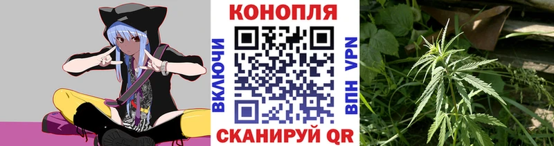 Канабис LSD WEED  где купить наркоту  Белая Холуница 